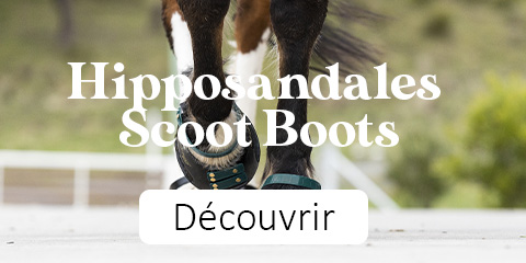 Hipposandales Scoot Boots